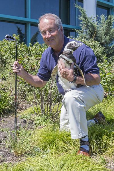 Ted Beattie with a Penguin and a Golf Club Ted Beattie Penguin and Golf