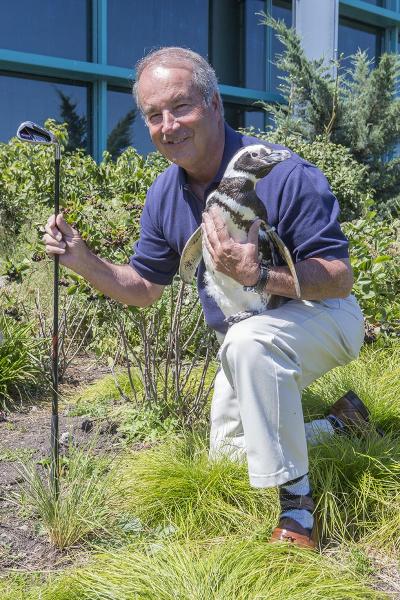 Ted Beattie Penguin and Golf