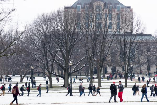 Winter in the Oval