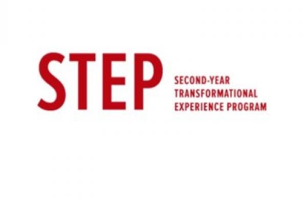 Second-Year Transformational Experience Program 