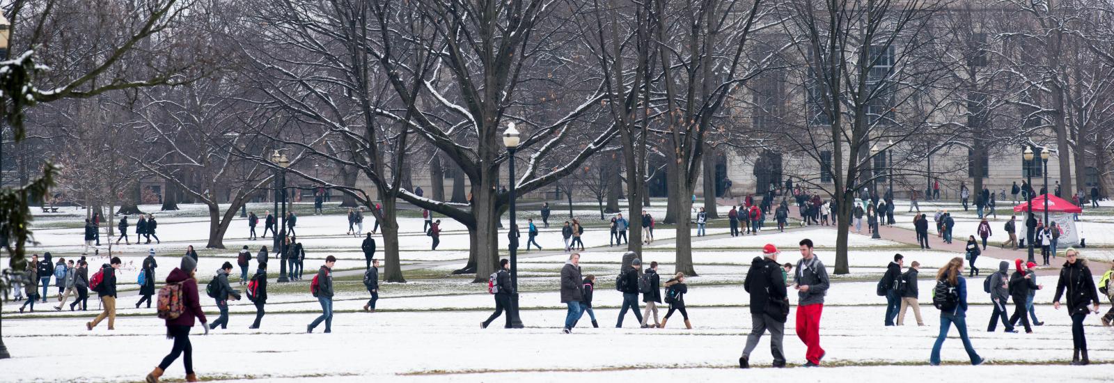 Winter in the Oval