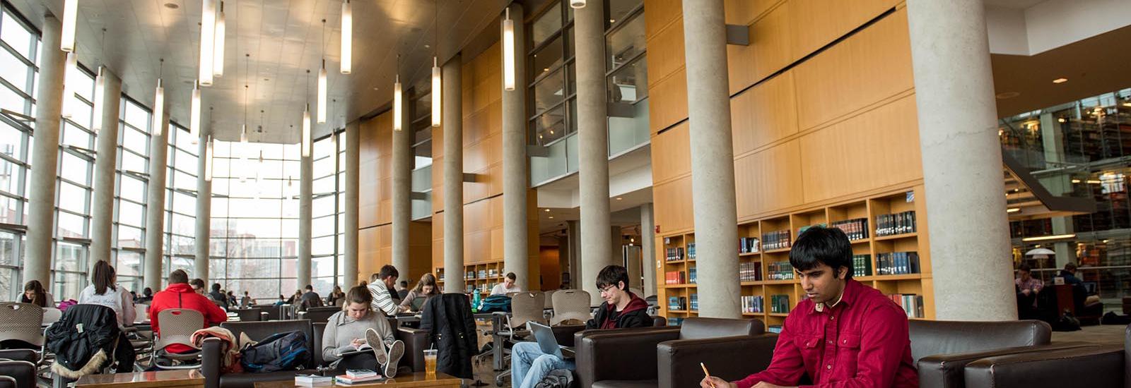 Students studying in library