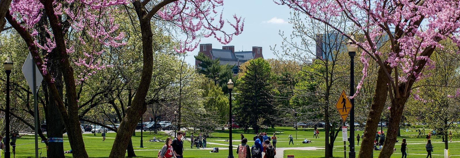 Ohio State Oval in Spring Ohio State Oval in Spring